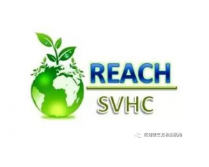 REACHҎ(gu)ʮ(wn)ʮc(din)ļܰ